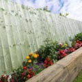 Featheredge Standard Fence Panel Green 1.5m