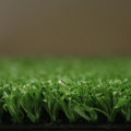 Artificial Grass 15mm Demo