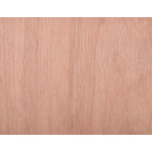 2440 X 1220 X 12Mm Hardwood Face Plywood En636-1 En314-2 Class 1 Ce2+ Fsc 100% Sa-Coc-002262