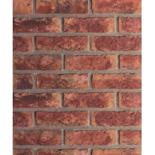 Terca Bricks 65mm Solus Trentino Brick