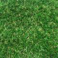 Verde Gardengrass 30-34mm Artificial Grass